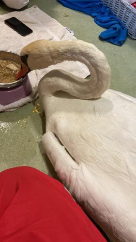 6C9ECE9F-BF5B-42FB-B282-E72FF6C740E2