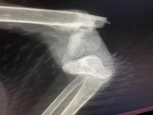 CE887E9E-B456-4A25-B0E5-45F734C00044