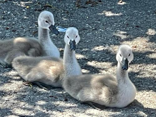 IMAGE 2024-10-03 03:10:56