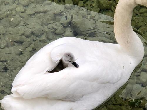 IMAGE 2024-10-03 03:10:59