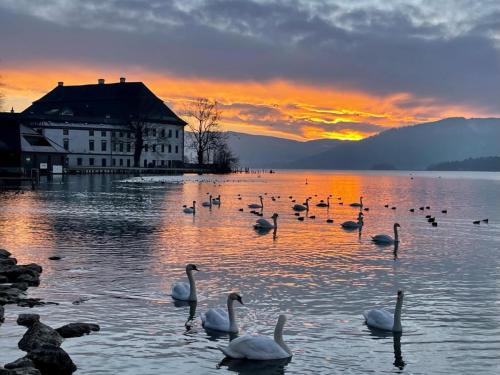 IMAGE 2024-10-03 03:11:00