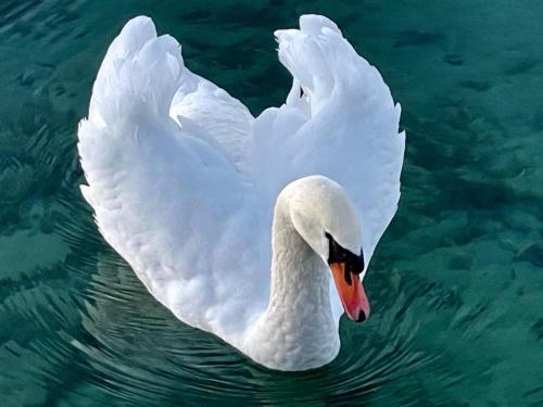 IMAGE 2024-10-03 03:11:01