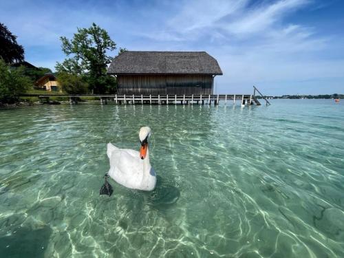 IMAGE 2024-10-03 03:11:05