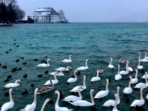 IMAGE 2024-10-03 03:11:07