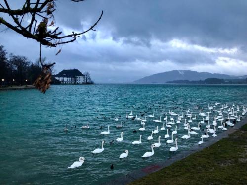 IMAGE 2024-10-03 03:11:08