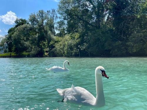 IMAGE 2024-10-03 03:11:10