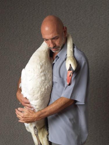 Schwan-Alex-10-24-©Michael-Maritsch_0090