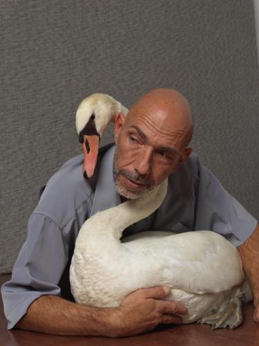 Schwan-Alex-10-24-©Michael-Maritsch_0184