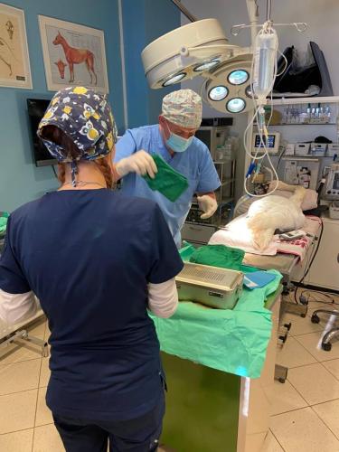 photo_2024-09-13_01-11-00